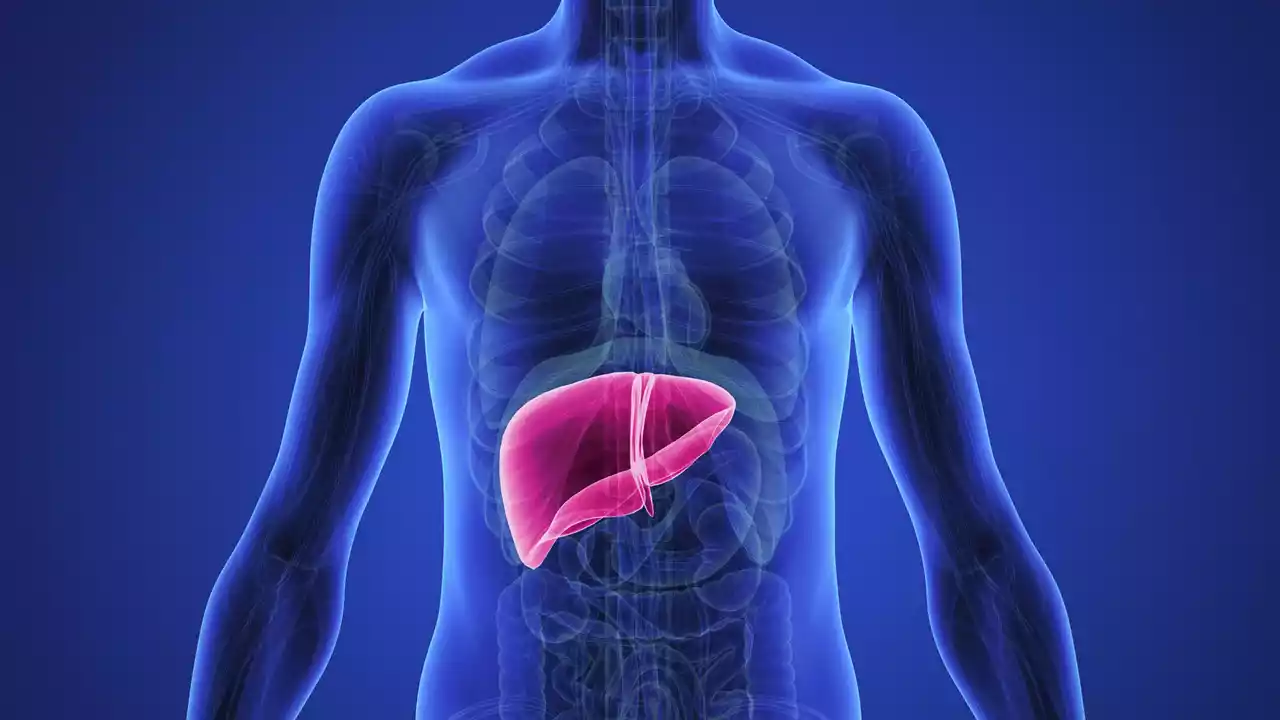 Liver Cirrhosis Treatment